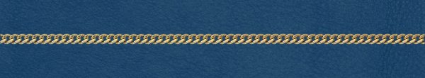 2513CF Wholesale Gold Filled Curb Chain