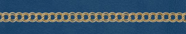 Wholesale Gold Filled Parallel Curb Chain